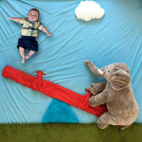 See Saw