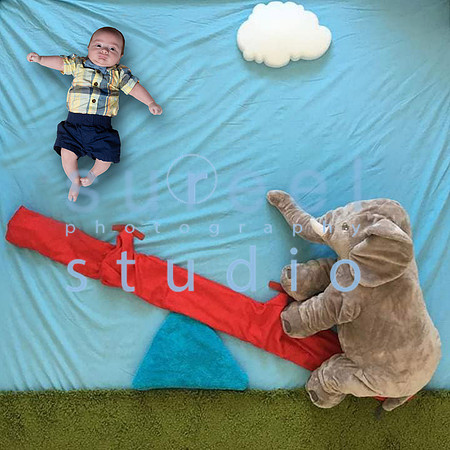 See Saw