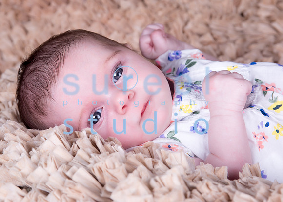 1M4A0380-Edit-Edit-2