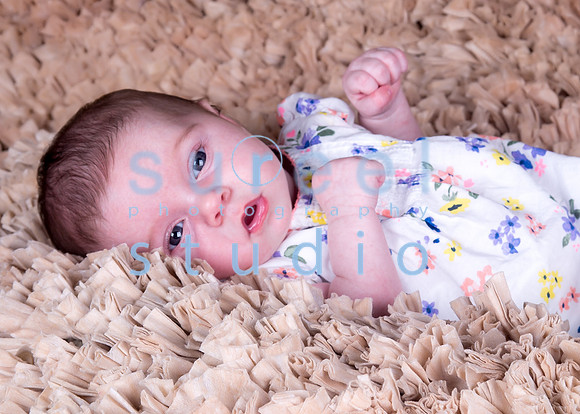 1M4A0377-Edit-Edit
