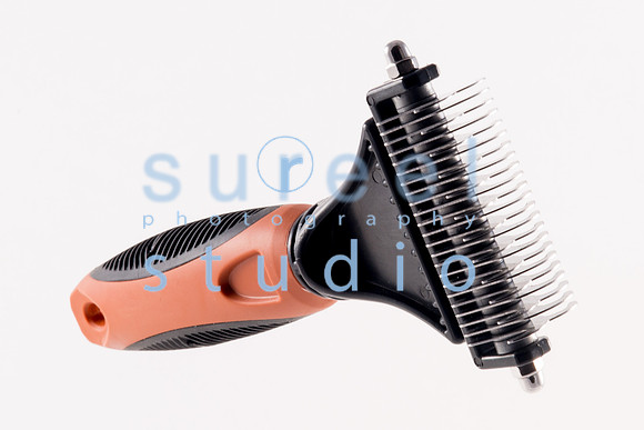 1M4A0339-Edit