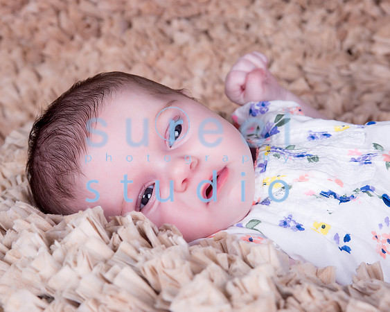 1M4A0381-Edit-Edit