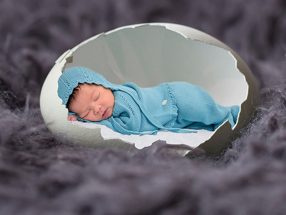 816 baby in egg