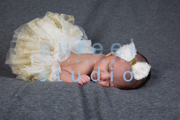 1M4A3030-Edit-Edit