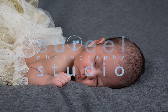 1M4A3035-Edit