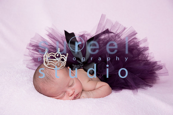 1M4A0024-Edit