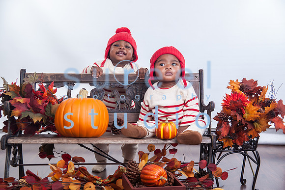 IMG_8582-Edit-2