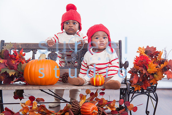 IMG_8581-Edit-2
